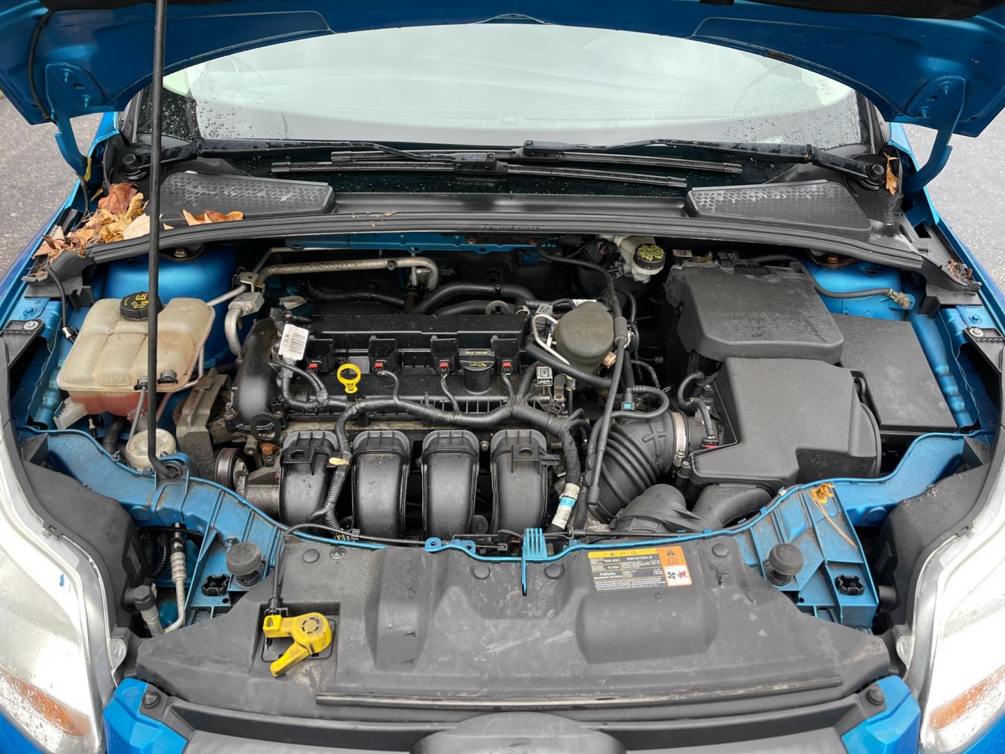 2014 Blue /Black Ford Focus SE Sedan (1FADP3F2XEL) with an 2.0L I4 DOHC 16V FFV engine, 6-Speed Automatic transmission, located at 547 E. Main St., Orwell, OH, 44076, (440) 437-5893, 41.535435, -80.847855 - Photo#16